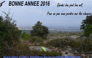 BONNE ANNEE 2016