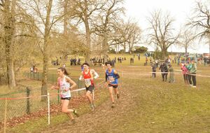 67b253fbe16f5_crossrodez4.jpg
