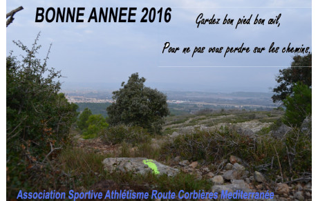 BONNE ANNEE 2016
