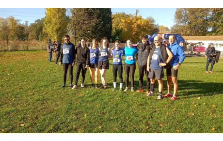  Cross de Carcassonne